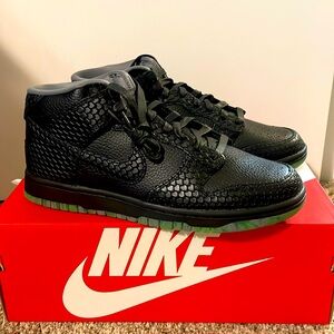 Brand new Nike Dunk Mid PRM